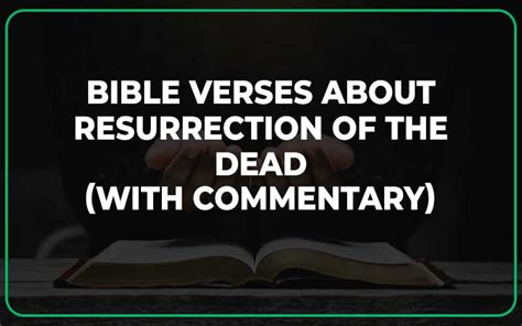 25 Bible Verses About Resurrection Of The Dead (With Commentary ...