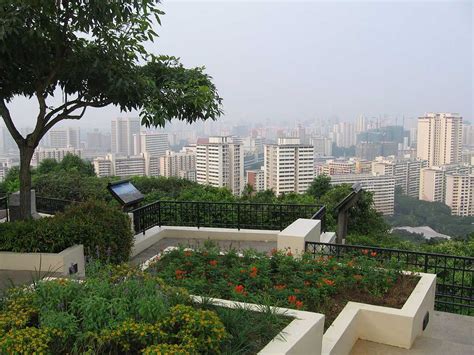 mount faber park singapore cable car