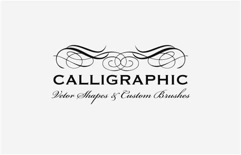 Vector Calligraphic Multi Pack — Medialoot