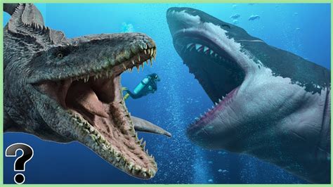 Mosasaurus Vs Megalodon ~ [preview] Megalodon Vs Mosasaurus | Garnrisnet