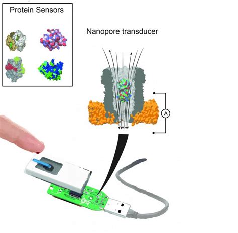 Nanopore System Can Measure Metabolites Simultaneously In Biological