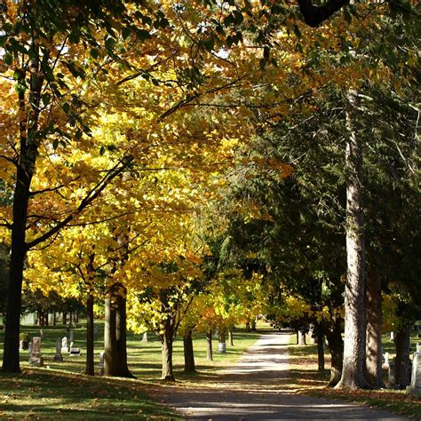 Barrie Union Cemetery | Barrie ON