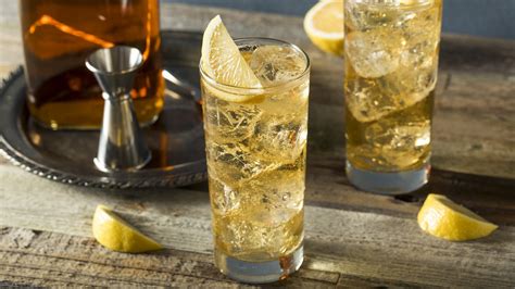 Easy Whiskey Highball Cocktail Recipe - 2022 - MasterClass