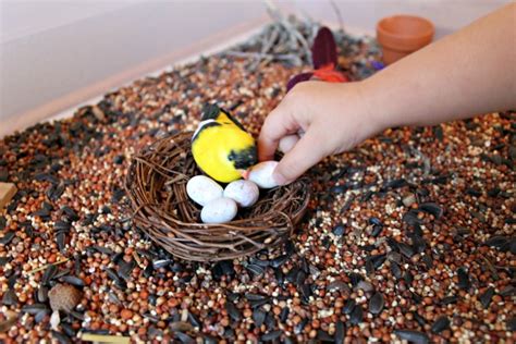 Bird Nest Sensory Bin Fantastic Fun Learning