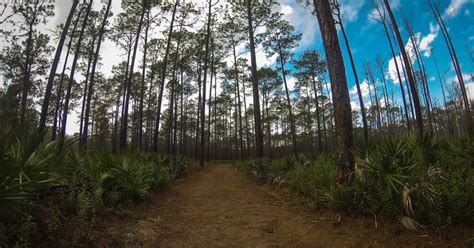 Florida's Baker County: Back Roads, Backwoods, Rich History