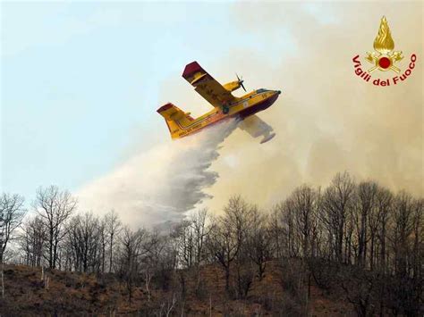 Incendi Boschivi In Italia Anni Per Ricostruire I Boschi Distrutti