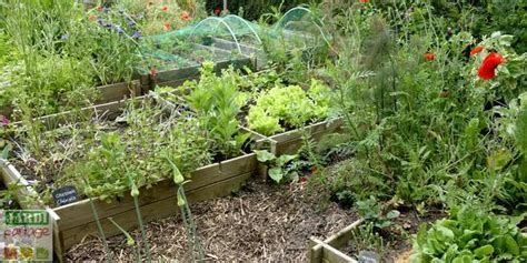 Comment D Buter Et R Ussir Un Premier Potager Jardipartage