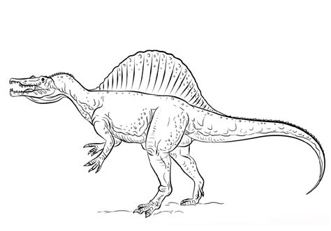 Dinosaur Spinosaurus Coloring Page Dinosaur Coloring Pages Porn Sex