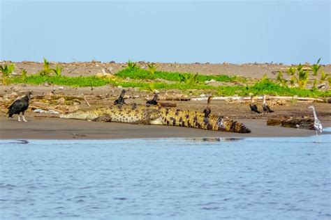 Tortuguero National Park