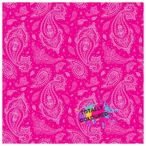 Pink Paisley Totally Coloured