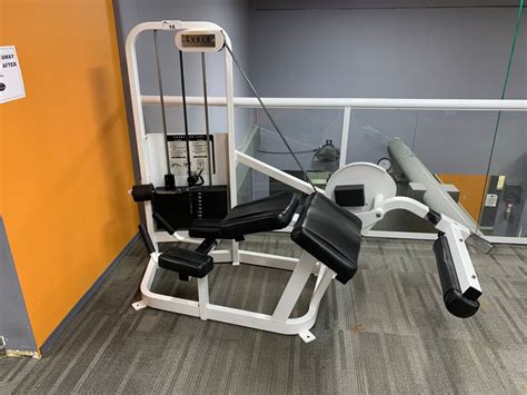 Cybex Prone Leg Curl Machine