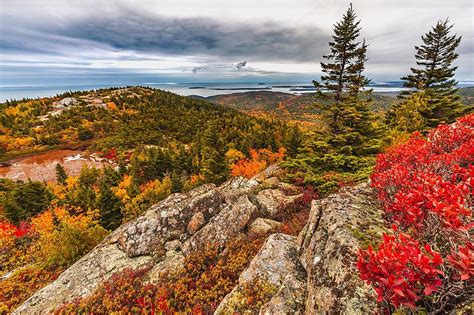 Have You Seen This Weekly Maine Fall Foliage Report