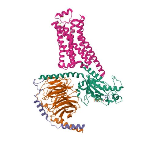 Rcsb Pdb Unz Cryoem Structure Of Beta Adrenergic Receptor In