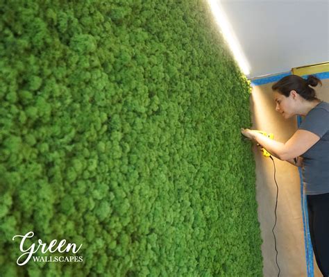 Custom Reindeer Moss Wall Green Wallscapes Etsy