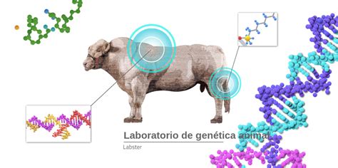 Genética animal Labster