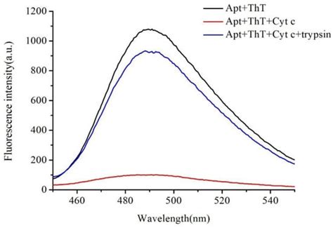 A Label Free Fluorescence Aptasensor Based On G Quadruplex Thioflavin T