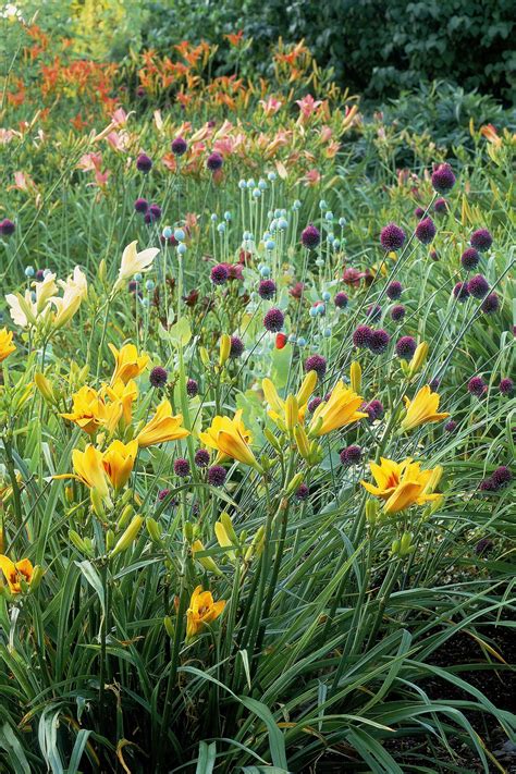 English Flower Garden Plans