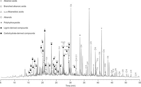 Example Of Chromatogram Obtained After Thm With The Main Types Of Download Scientific Diagram