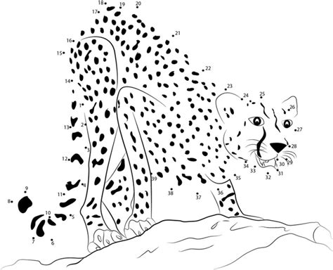 Connect the dots: Cheetah, printable for kids & adults, free