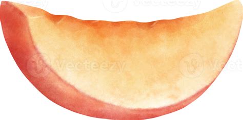 Watercolor Nectarine Illustration 27380087 Png