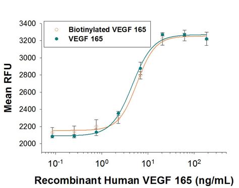 Recombinant Human Vegf 165 Biotinylated Protein Bt293 010 Randd Systems