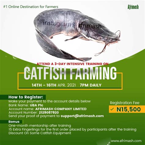 Online Training On Catfish Farming Intensive 3 Days Webinar