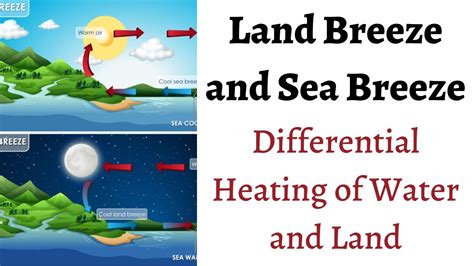 P8C10 What Are Land Breeze And Sea Breeze Results Of Differential