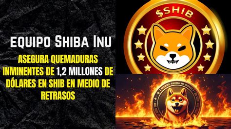 El Equipo De SHIBA INU Asegura Quemaduras Inminentes De SHIB En Medio