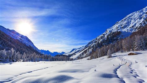 Фотографии Снежных Гор – Telegraph