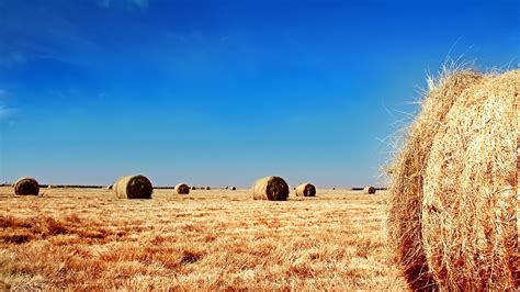 Hay Bales Glade Sun Mountains Fog Trees August Serenity HD