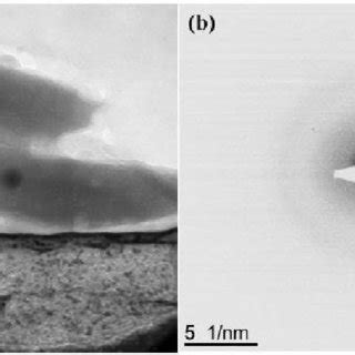 A Bright Field Tem Image Of Iron Oxide Nanorods After The Th Cycle