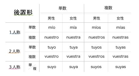 【スペイン語文法基礎】所有詞｜外大net