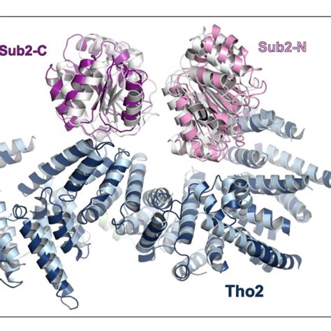 Figure Supplement Cryo Em Model Building A Local Resolution Of The