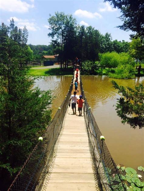 Walk Across Virginias Longest Swinging Bridge For An Epic Adventure