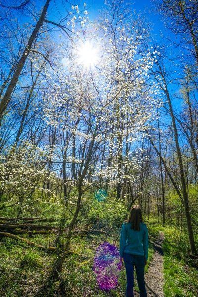 Raccoon Creek State Park Wildflower Reserve - A Spring Visit