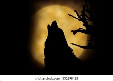 Wolf Howling Moon Stock Illustration 532298425