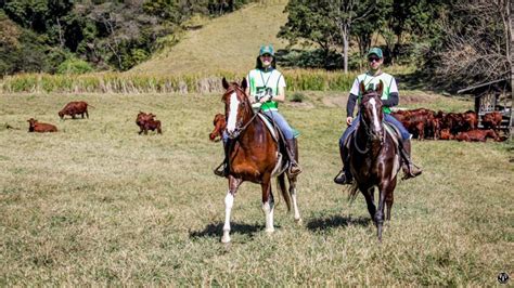 Haras Espinhaço em Botucatu SP recebe primeira Mangalargada de 2022