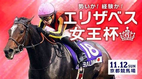 「生涯収支マイナス3億円くん」と「ニートボクロチキン」さんと「カリスマ予想」さんの『エリザベス女王杯』予想と結果🐎｜tasei ☆フォロバ100