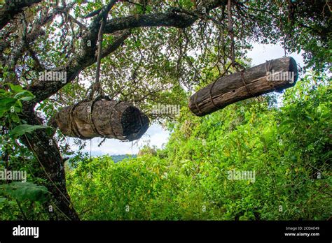 Traditional Beehives Hi Res Stock Photography And Images Alamy