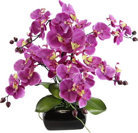 Flair Flower Orchidea Finta Fiore Finto Di Seta Con Foglie Boccioli