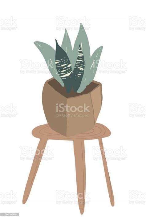 Hand Drawn Tropical House Plants Scandinavian Style Illustration Modern And Elegant Stock