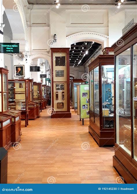 Exhibits At Indian Museum In Kolkata Editorial Image | CartoonDealer