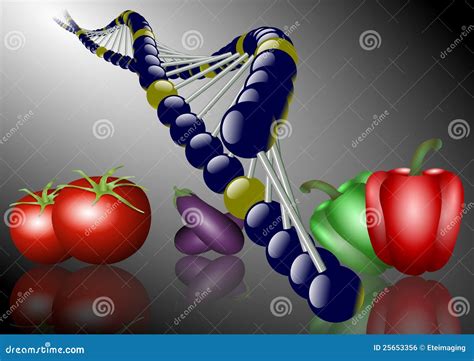 Genetically Modified Food Stock Illustration Illustration Of