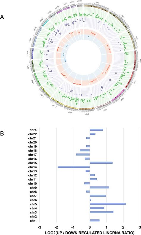 A Genomic Landscape Of Differentially Expressed Lincrnas And Their Copy