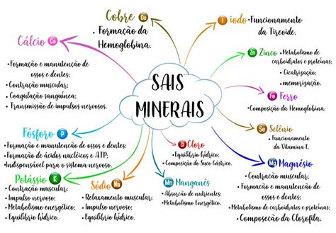 Mapa Mental De Biologia Sais Minerais Biologia The Best Porn Nbkomputer