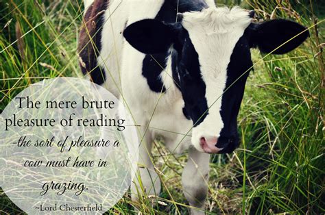 Mt. Hope Chronicles: Cows, Books, Life, and Food (for Thought)