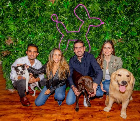 Laika La Startup Para Mascotas Levanta Millones De D Lares