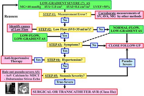 Aortic Stenosis Flow Matters Heart