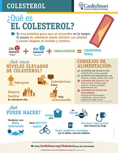 Colesterol Infographic Cardiosmart American College Of Cardiology