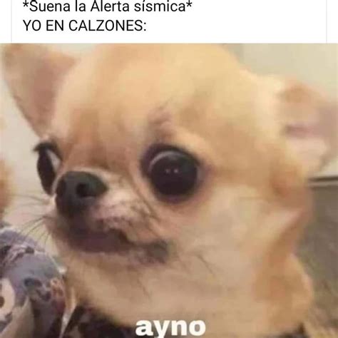 Estos Son Los Mejores Memes Por Los Sismos De Septiembre Segundo A